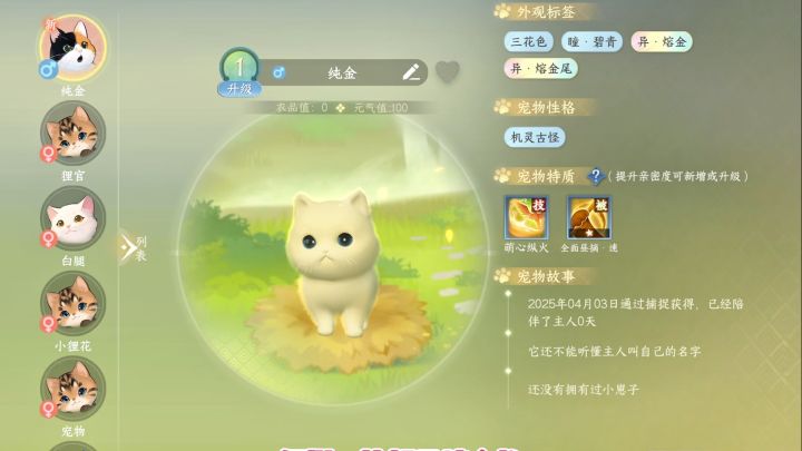 抓到了全身熔金的小猫!!!截图
