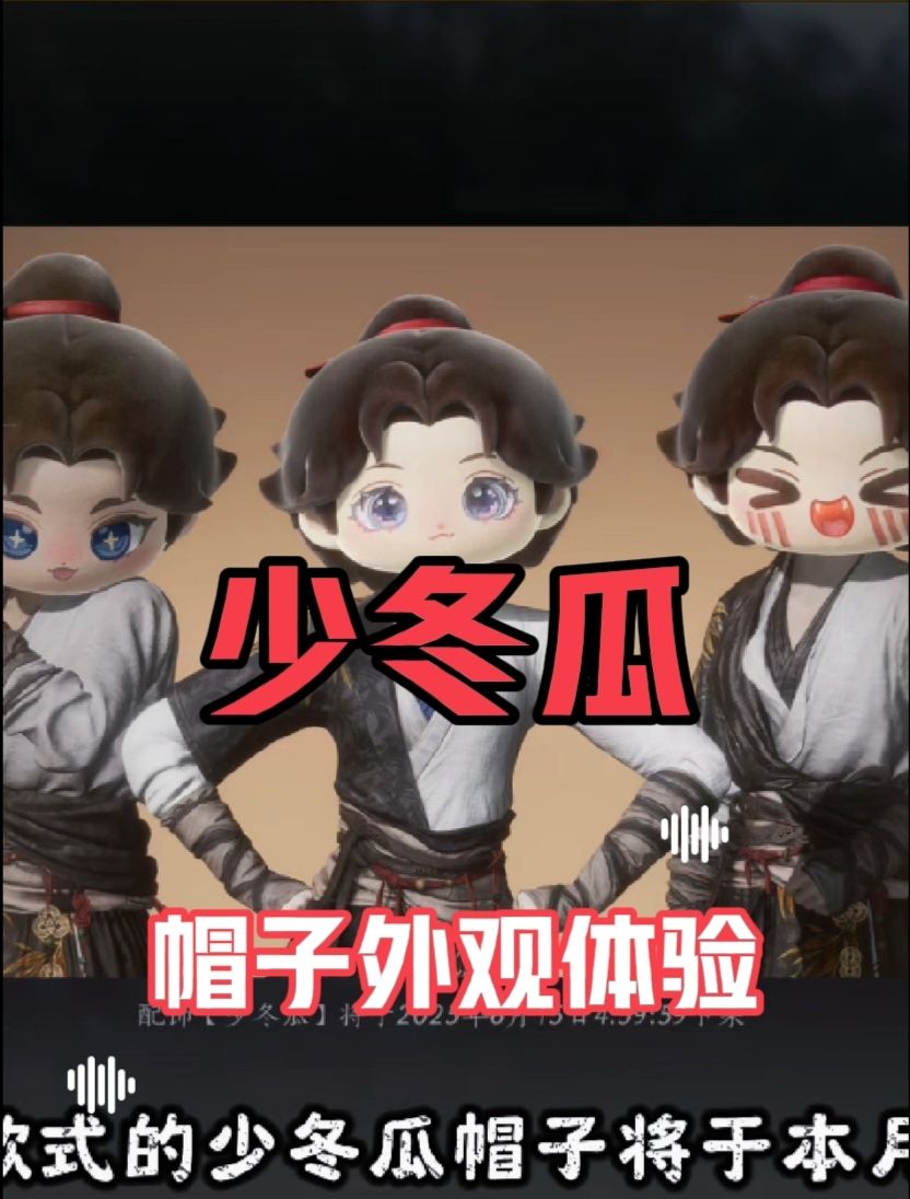 video-4995038