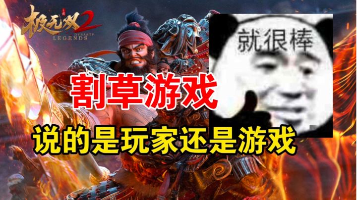 割草游戏？说的是玩家还是游戏？《极无双2》截图