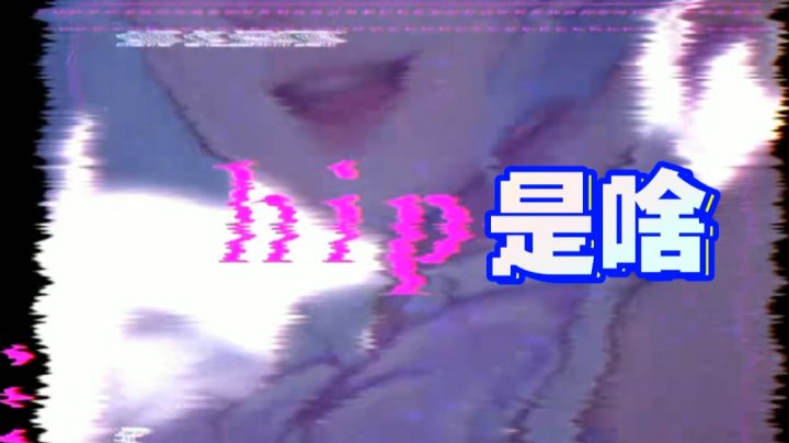 爪爪我知道,hip是个啥?截图