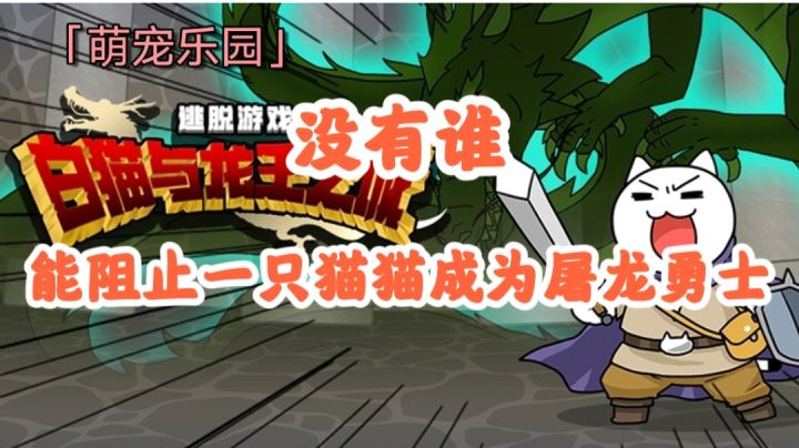 【萌宠乐园】没有谁能阻止一只猫猫成为屠龙勇士！！#萌宠在哪里#截图