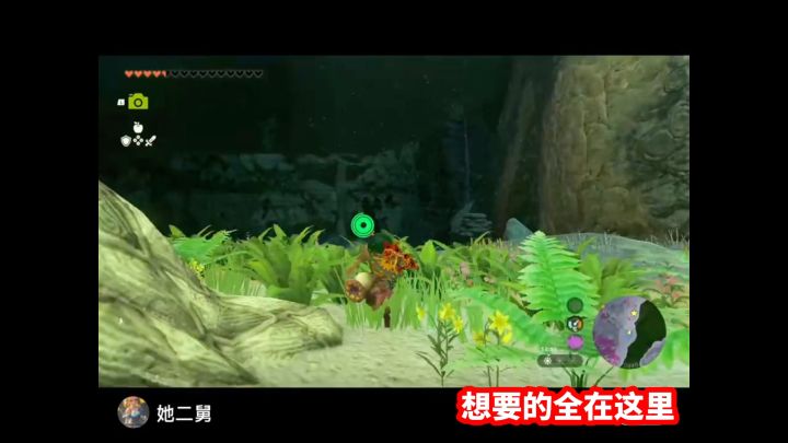 跟我来——你要的所有全新武器都在这里拿!截图