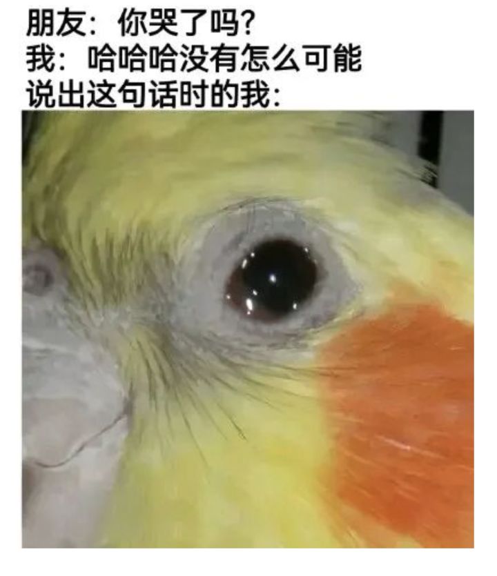 神勇拔3：16爱德华截图