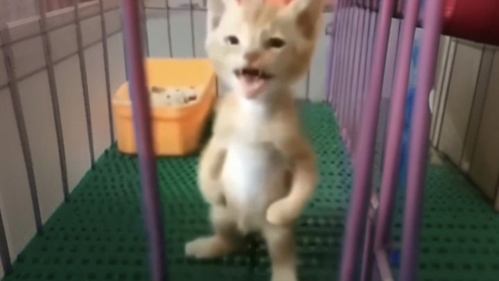 我飞起来了截图