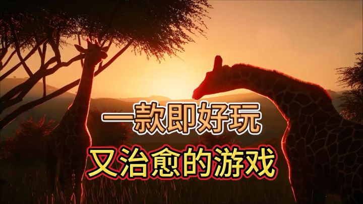 【动物园之星】超治愈系游戏截图