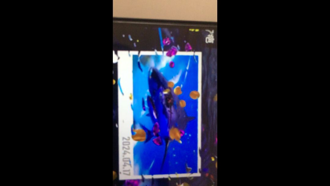video-4053006