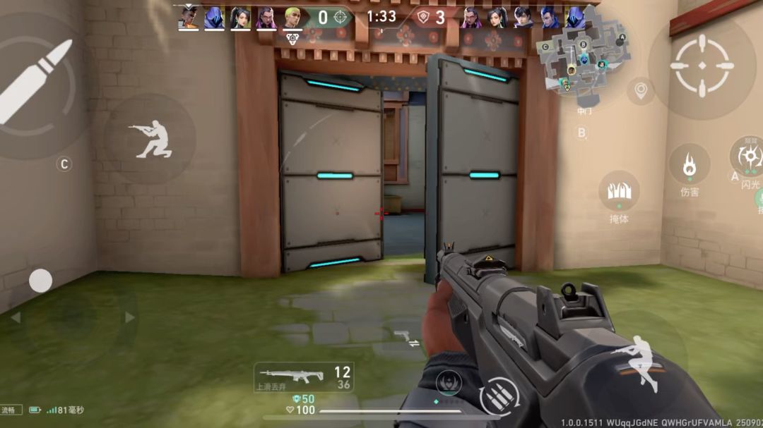 video-5217001