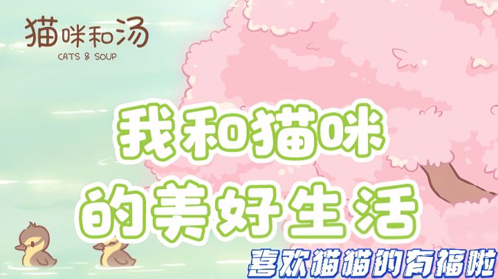 猫咪游戏?超治愈的!截图