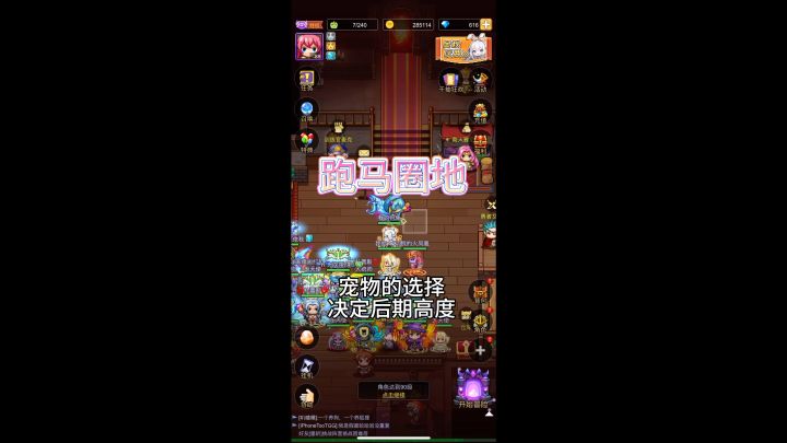 阳哥开局宠物选择思路截图