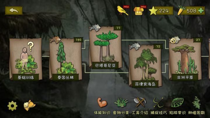 肝了差不多三四天,终于五百个了截图