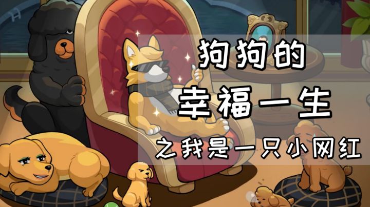 狗狗的幸福一生,我是一只小网红#新游观察局#截图