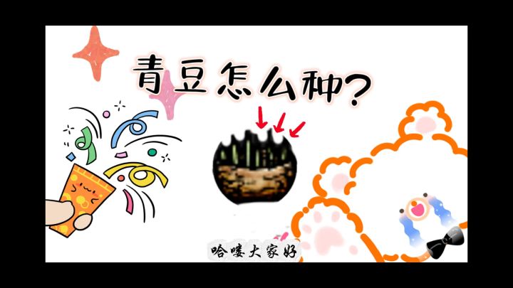 华夏人生之青豆截图