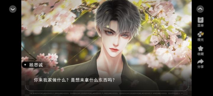 安利《贵妇养成指南》截图