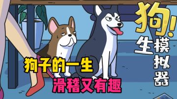 狗子的一生，滑稽又有趣#新游观察局#
