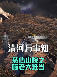 清河万事知：慈心山院之喵老大难当流程攻略