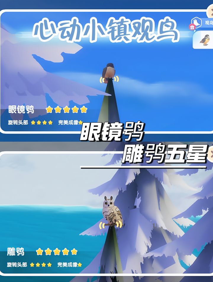 心动小镇14级观鸟眼镜鸮五星截图