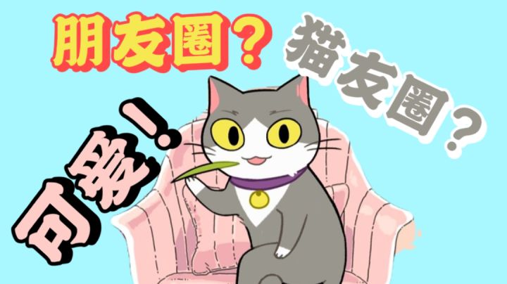 朋友圈？猫友圈？真可爱！#新游观察局#截图