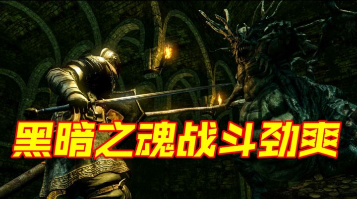 黑暗之魂战斗劲爽截图