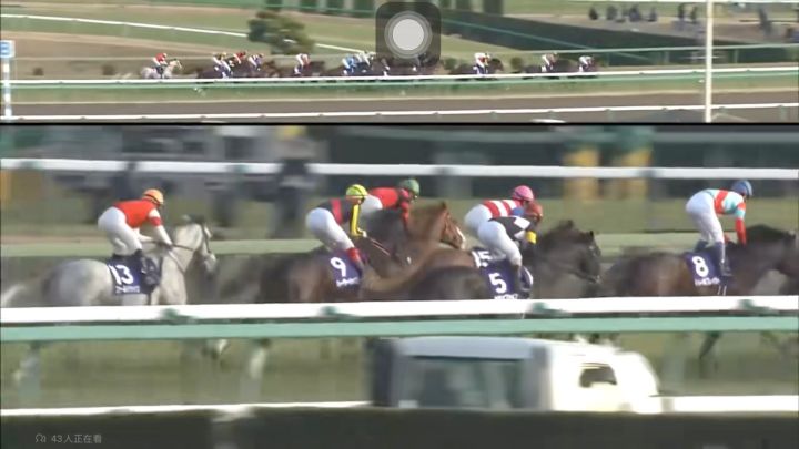 原型黄金船、后追1串15(中山/有马纪念)截图