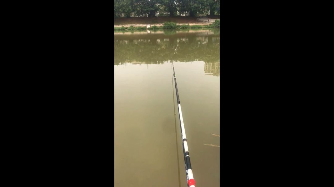 video-4050510