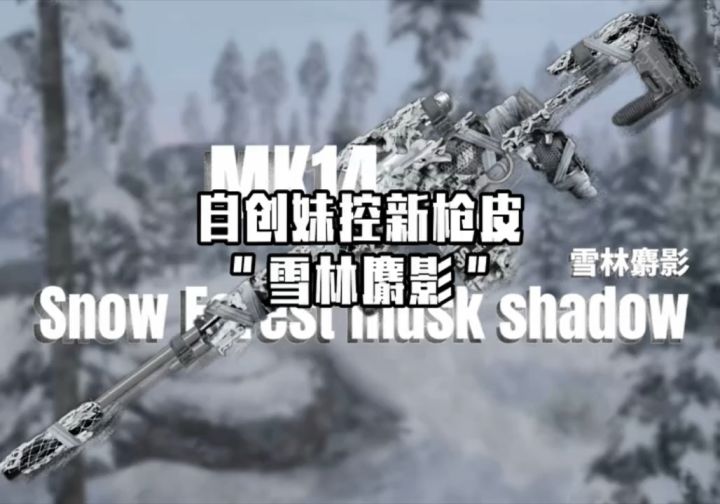 超高质量妹控皮肤！ #全装白给仔截图