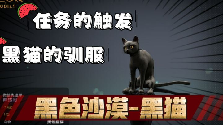#新游观察局#黑色沙漠手游:黑猫篇!又能白嫖一宠物,快来!截图