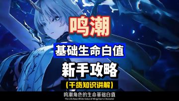 一条攻略讲明白基础生命白值，与声骸词条关系，鸣潮2.4版本。