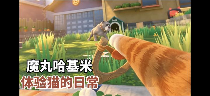 魔丸坏小猫可以干多少坏事❓体验哈基米的日常❗截图