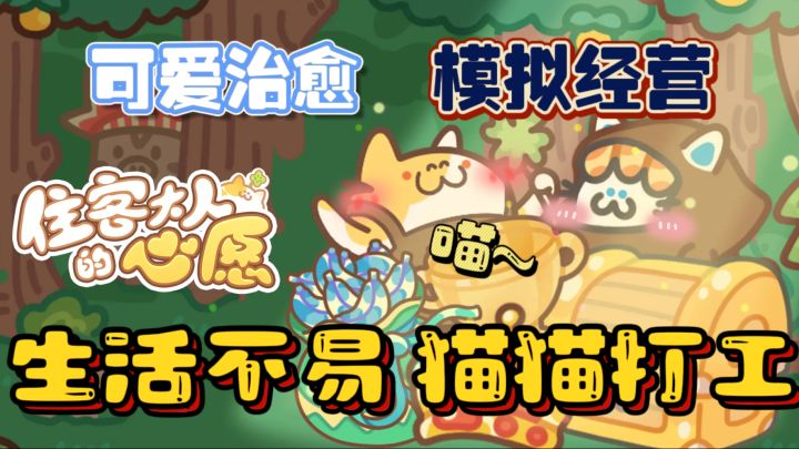 猫猫来❗️完成住客大人的心愿❗️可爱治愈系模拟经营!截图