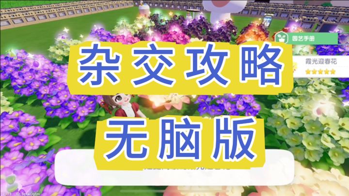春野令迎春花杂交攻略截图
