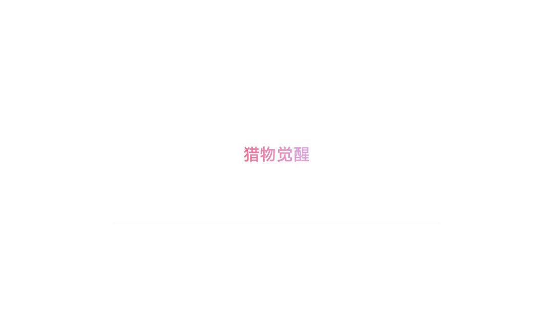 video-2637176