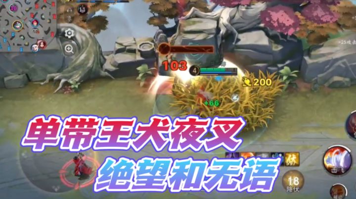 队友真的是给我一个大惊喜?截图