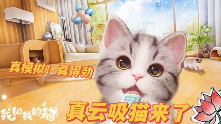 【推荐】养了猫但是没完全养截图