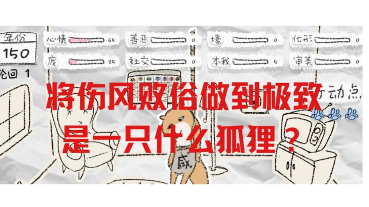 如何成为一只伤风败俗到极致的狐狸#萌宠在哪里#截图