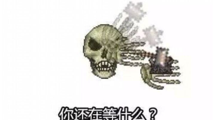 交流群，内附多个服务器（内有服务器实况视频）截图