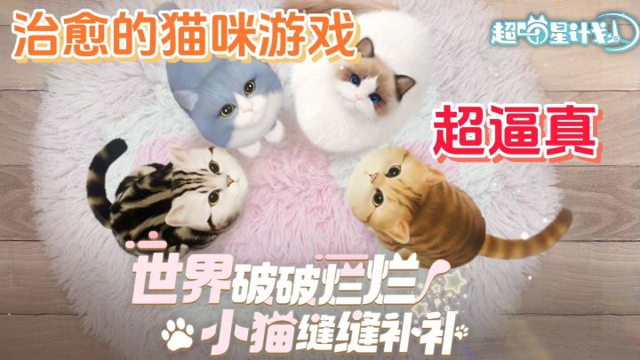 超喵星计划:赛博撸猫首选,真是一群可爱治愈的猫猫呢截图