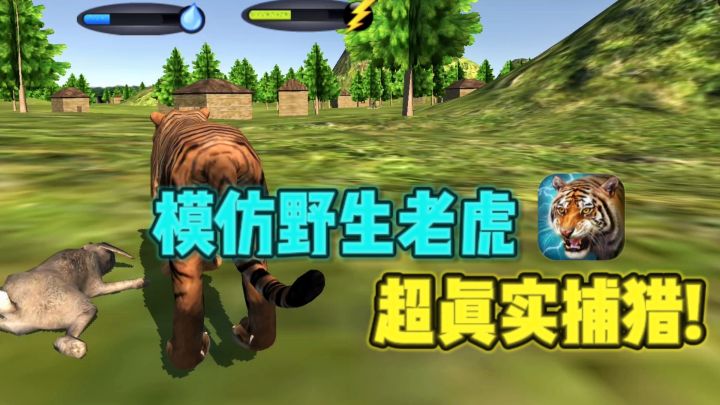 什么❓一觉醒来，变成了老虎🐯，开始猎食❗截图