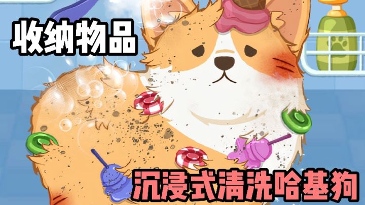 [TapTap年度游戏大赏]沉浸式的清洗哈基狗❗️收纳解压物品❗️截图