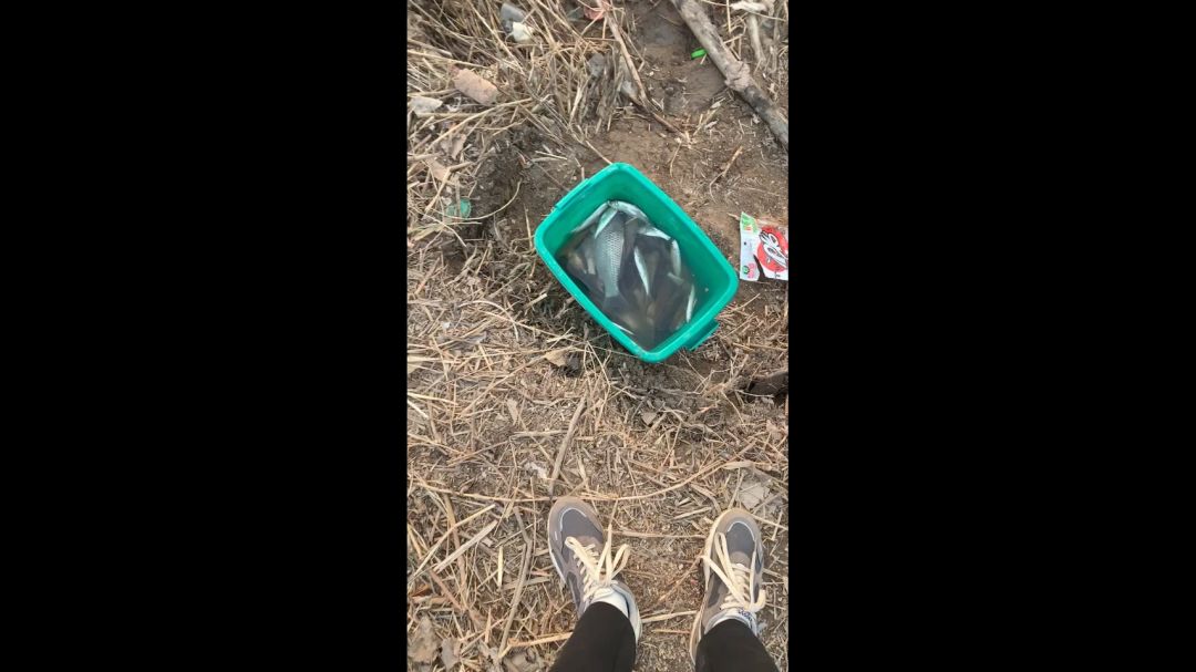 video-4045734