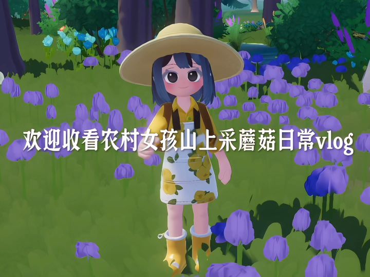 采蘑菇日常vlog截图