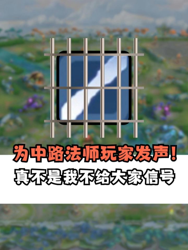 为中路玩家发声截图