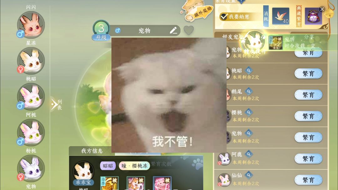video-4847331