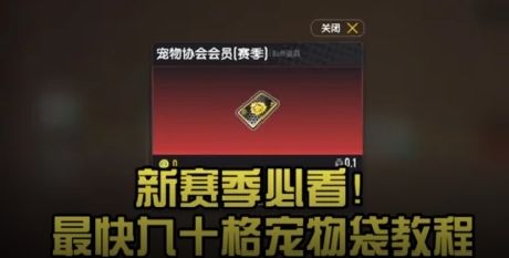一天打完!!最快获得90格宠物袋攻略截图