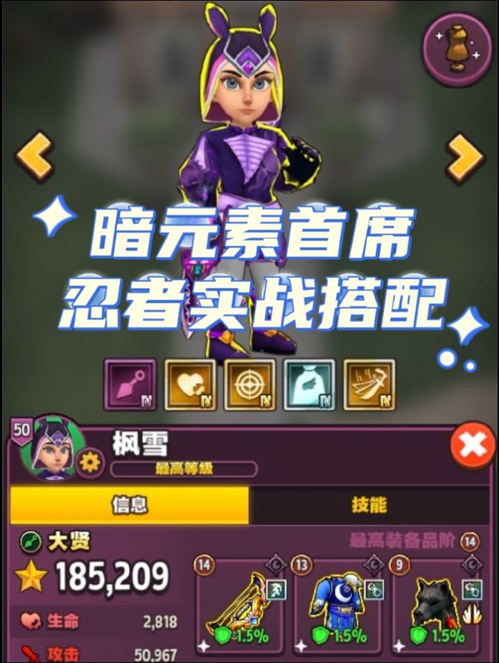 【传奇商店英雄攻略】忍者实战搭配截图
