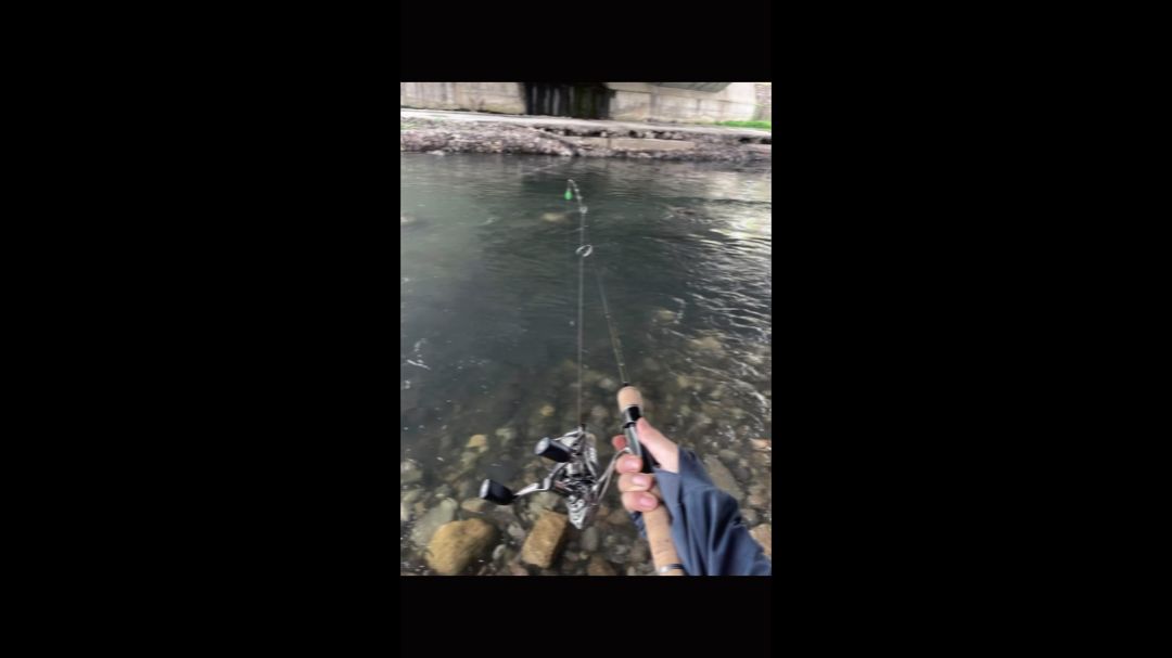 video-4052177