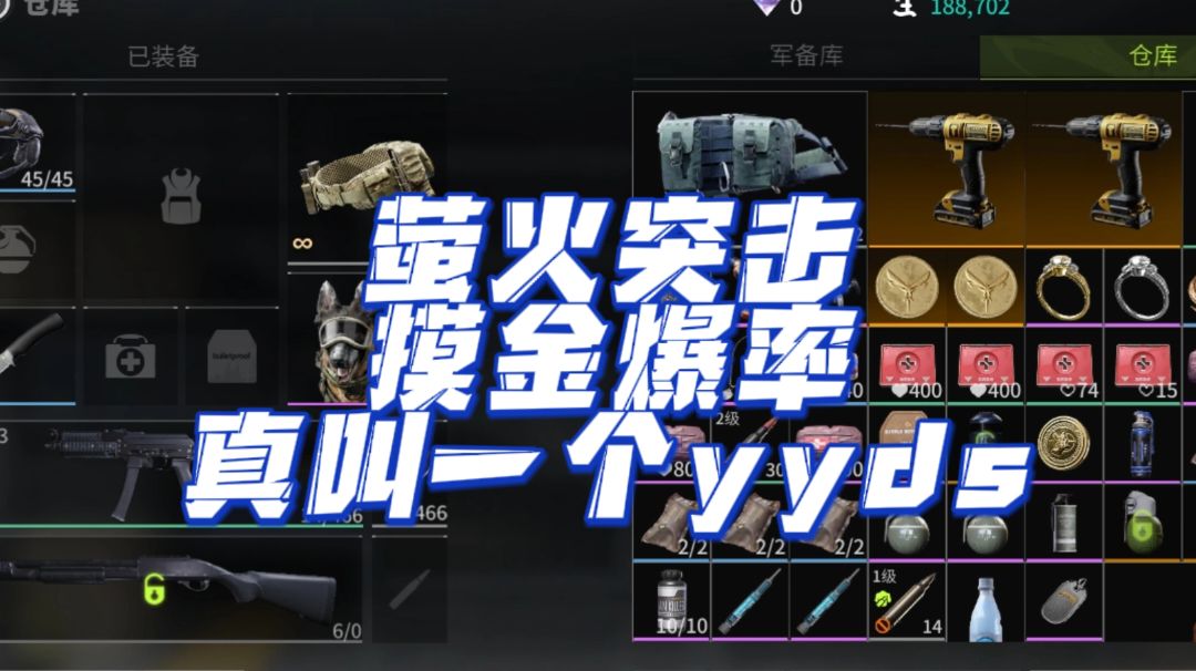 video-4160021