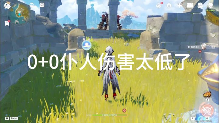 0+0仆人伤害太低了截图