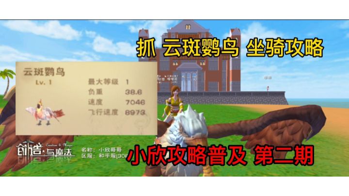 小欣攻略普及 第二期 抓云斑鹦鸟坐骑攻略截图
