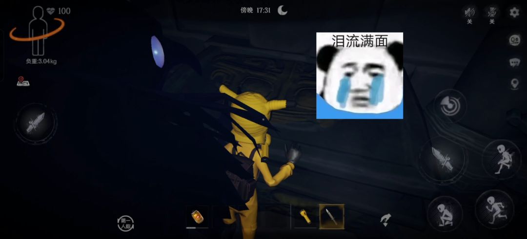 video-4574701