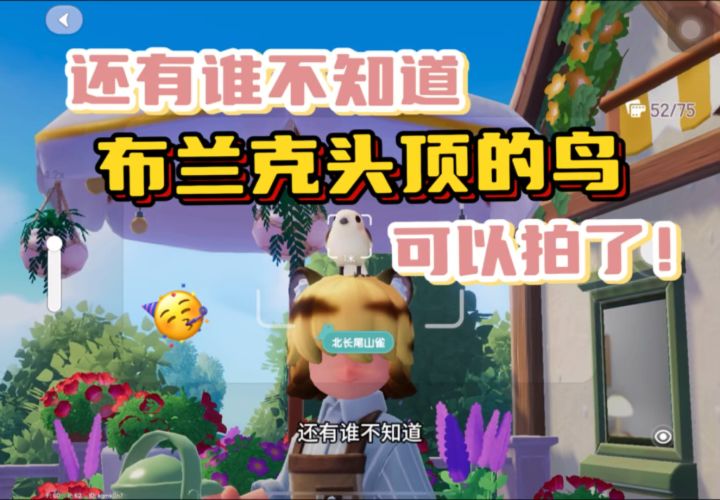 还有谁不知道布兰克头顶的这只鸟可以拍了,整个小镇唯一一只哦~截图